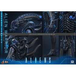 Alien Movie Masterpiece figurine 1/6 Alien Warrior (Deluxe Version) 39 cm