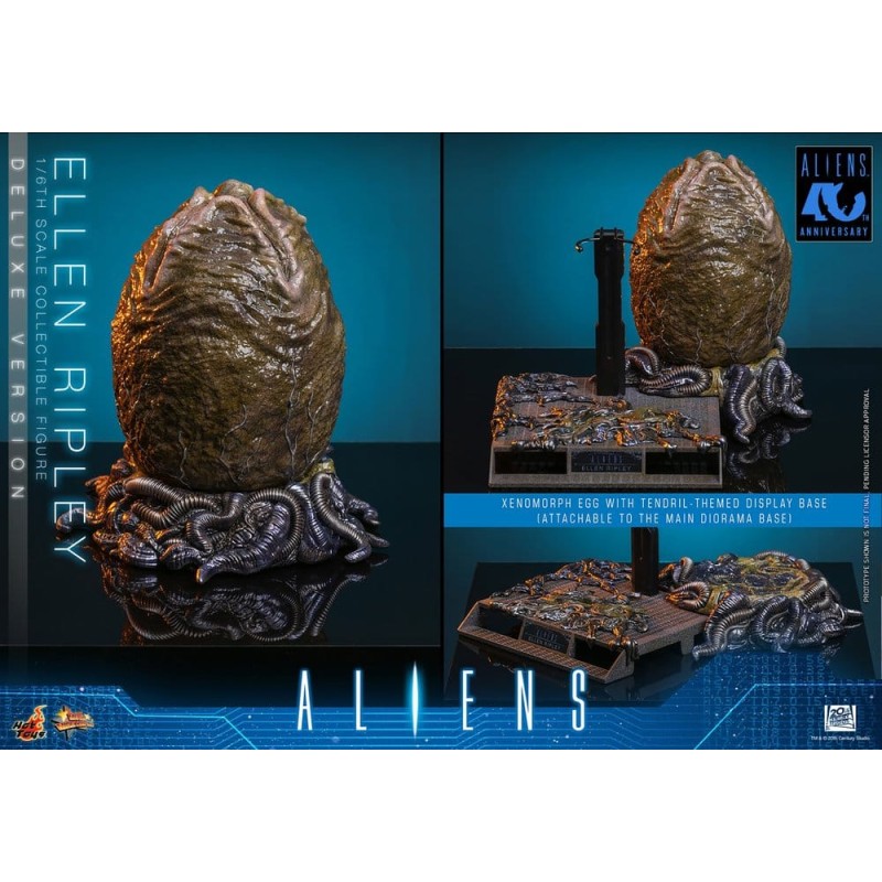 Alien Movie Masterpiece Action Figure 1/6 Ellen Ripley (Deluxe Version) 30 cm
