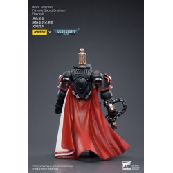 Warhammer 40k 1/18k Zwarte Tempeliers Primaris Zwaardbroeders Eberwulf Figuur 12cm