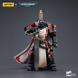 Warhammer 40k 1/18k Zwarte Tempeliers Primaris Zwaardbroeders Eberwulf Figuur 12cm