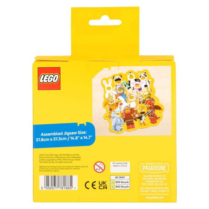 Lego puzzle en boîte (250 pièces)