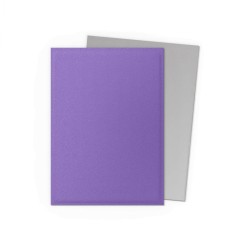 Dragon Shield Dubbele matte hoezen - Nebula & Zilver (100 hoezen)