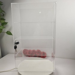 Evoretro Vitrine de comptoir à 4 niveaux en acrylique avec serrure