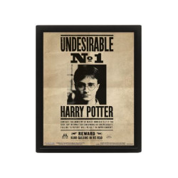 licence : Harry Potter produit : Poster effet 3D encadrés Potter / Sirius 26 x 20 cm éditeur : Pyramid International