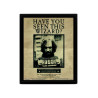 licence : Harry Potter produit : Poster effet 3D encadrés Potter / Sirius 26 x 20 cm éditeur : Pyramid International