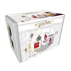 licence : Harry Potter produit : Coffret Cadeau Quidditch éditeur : GB eye