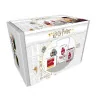 licence : Harry Potter produit : Coffret Cadeau Quidditch éditeur : GB eye