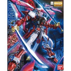 Gundam - Bouwmodell MG 1/100 - ASTRAY ROOD FRAME