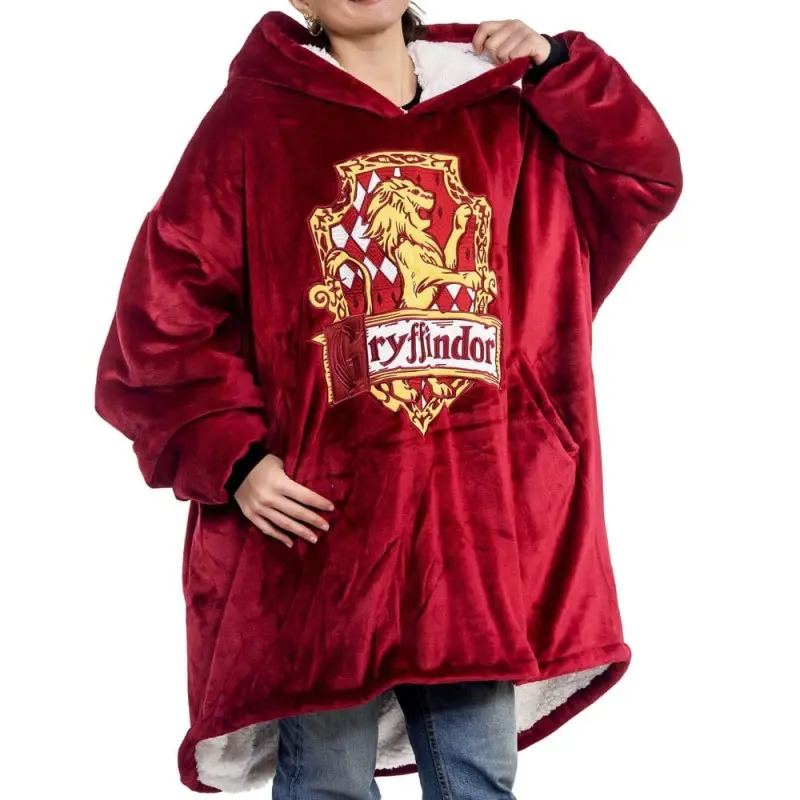 Harry Potter sweater à capuche Gryffondor | 5060914711619