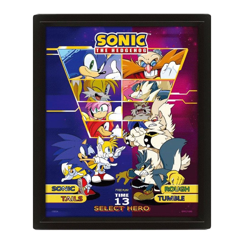 Sonic The Hedgehog encadré poster effet 3D Select Your Fighter 26 x 20 cm | 5050574017220