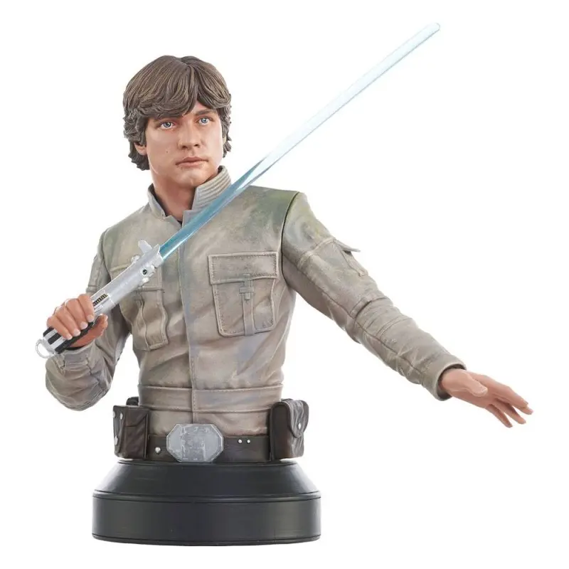 Star Wars Episode V buste 1/6 Luke Skywalker 15 cm | 0699788841976