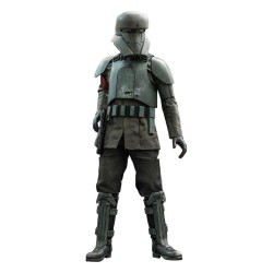 Star Wars The Mandalorian figurine 1/6 Transport Trooper 31 cm