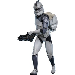 Star Wars The Clone Wars figurine 1/6 104th Battalion Wolfpack Clone Trooper Deluxe Version 30 cm