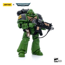 Warhammer 40k figurine 1/18 Salamanders Intercessors Brother Haecule 12 cm