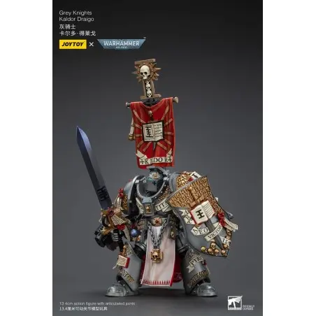 Warhammer 40k figurine 1/18 Grey Knights Kaldor Draigo 14 cm | 6927054400201