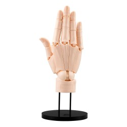 Takahiro Kagami Artist Support Item Hand PVC 1/1 Model/R Pale Orange 21 cm