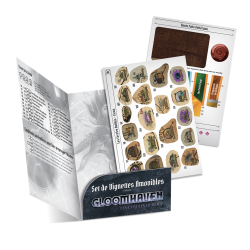 Game: Gloomhaven - Ext. The Forgotten Circles Remov Stick
Publisher: Cephalofair Games
English Version