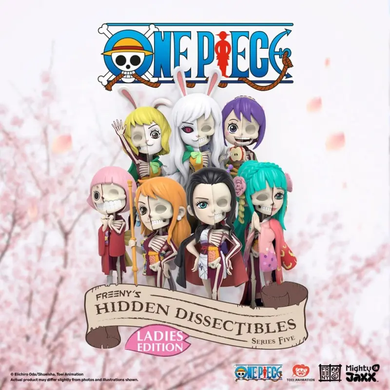 One Piece présentoir Blind Box Hidden Dissectibles Series 5 (Ladies ed.) (6) | 0631978818016