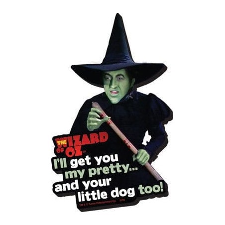 Le Magicien d'Oz aimant Funky Chunky I'll Get You...
