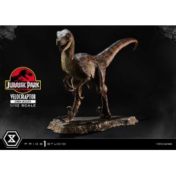 Jurassic Park statuette Prime Collectibles 1/10 Velociraptor Open Mouth 19 cm