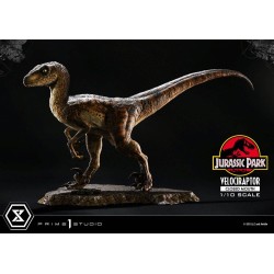 Jurassic Park statuette Prime Collectibles 1/10 Velociraptor Closed Mouth 19 cm