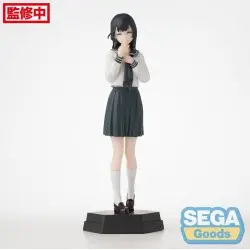 There is also a hole in the student organization! statuette PVC Desktop x Decorate Collections Arisu Terui 16 cm