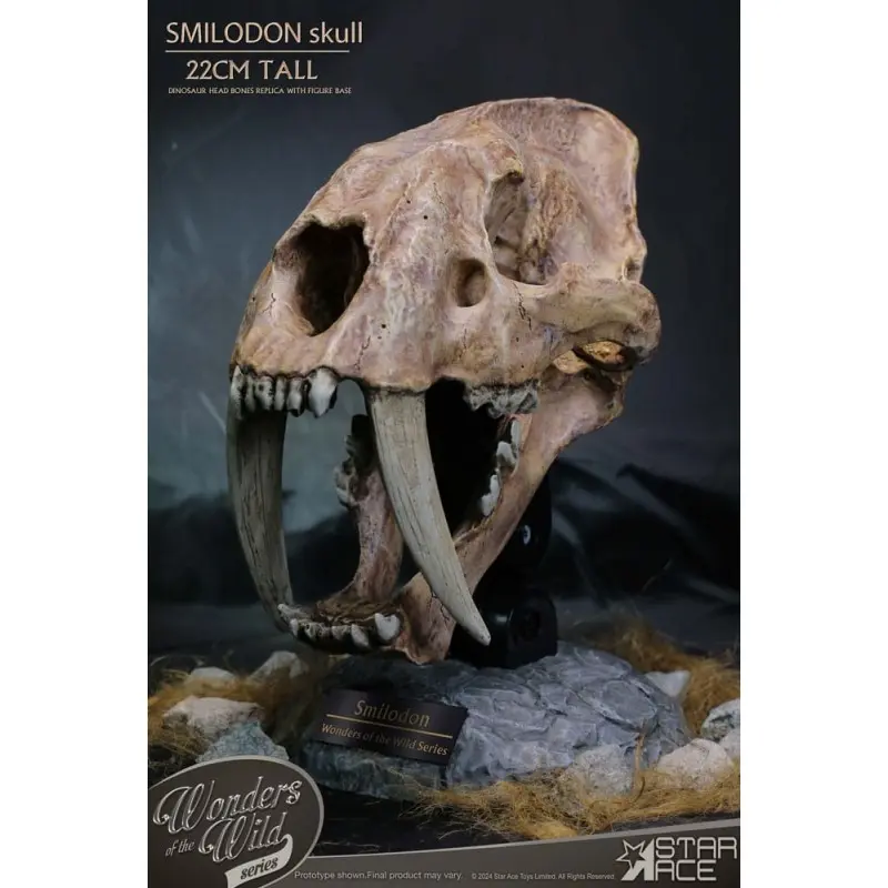 Wonders of the Wild Series statuette Smilodon Skull Fossil 22 cm | 4897057885409