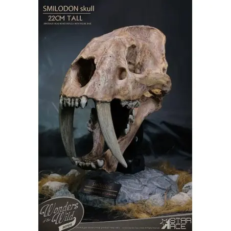 Wonders of the Wild Series statuette Smilodon Skull Fossil 22 cm | 4897057885409