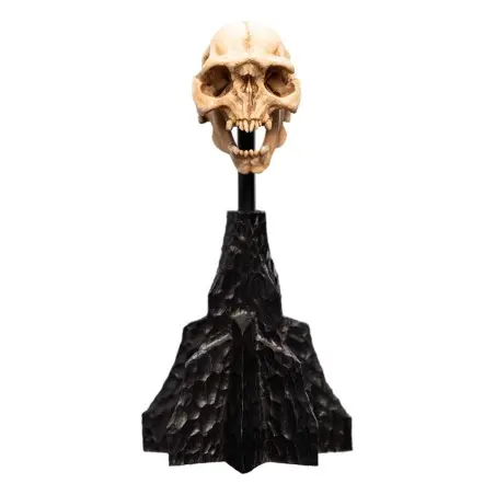 Le Seigneur des Anneaux statuette Skull of a Moria Orc 13 cm | 9420024744291