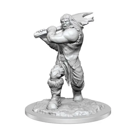 D&D Nolzur's Marvelous Miniatures miniature à peindre Ogre Female (carton de 2) | 0000051437867