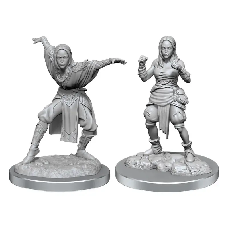 Pathfinder Battles Deep Cuts pack 2 miniatures à peindre Half-Elf Monk Female (carton de 2) | 0634482906521