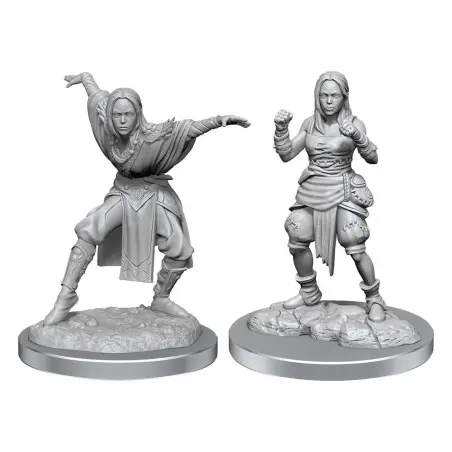 Pathfinder Battles Deep Cuts pack 2 miniatures à peindre Half-Elf Monk Female (carton de 2) | 0634482906521