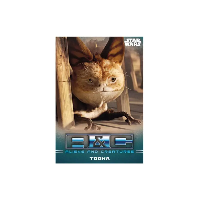 Star Wars: The Mandalorian cartes à collectionner Starter Pack *ANGLAIS* | 5053307053656