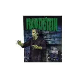 Universal Monsters figurine PVC Poster Frankenstein 28 cm | 8435450260629