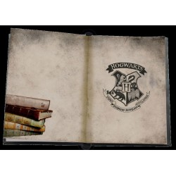 Harry Potter cahier lumineux Slytherin  | 8436535274685