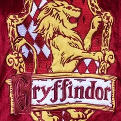 Harry Potter sweater à capuche Gryffondor | 5060914711619