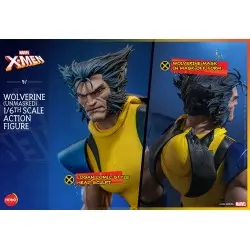 Marvel X-Men figurine 1/6 Wolverine (Unmasked) 28 cm | 4895228619907