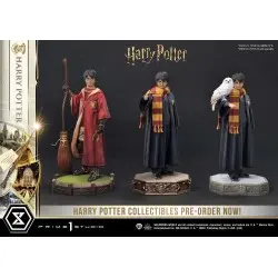 Harry Potter statuette Prime Collectibles 1/6 Harry Potter 28 cm | 4580708049069