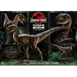 Jurassic Park statuette Prime Collectibles 1/10 Velociraptor Open Mouth 19 cm | 4580708049328