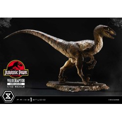 Jurassic Park statuette Prime Collectibles 1/10 Velociraptor Open Mouth 19 cm | 4580708049328