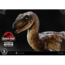 Jurassic Park statuette Prime Collectibles 1/10 Velociraptor Open Mouth 19 cm | 4580708049328