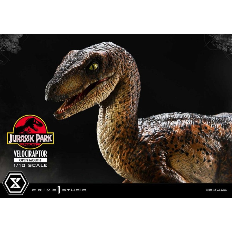 Jurassic Park statuette Prime Collectibles 1/10 Velociraptor Open Mouth 19 cm | 4580708049328