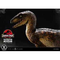 Jurassic Park statuette Prime Collectibles 1/10 Velociraptor Open Mouth 19 cm | 4580708049328