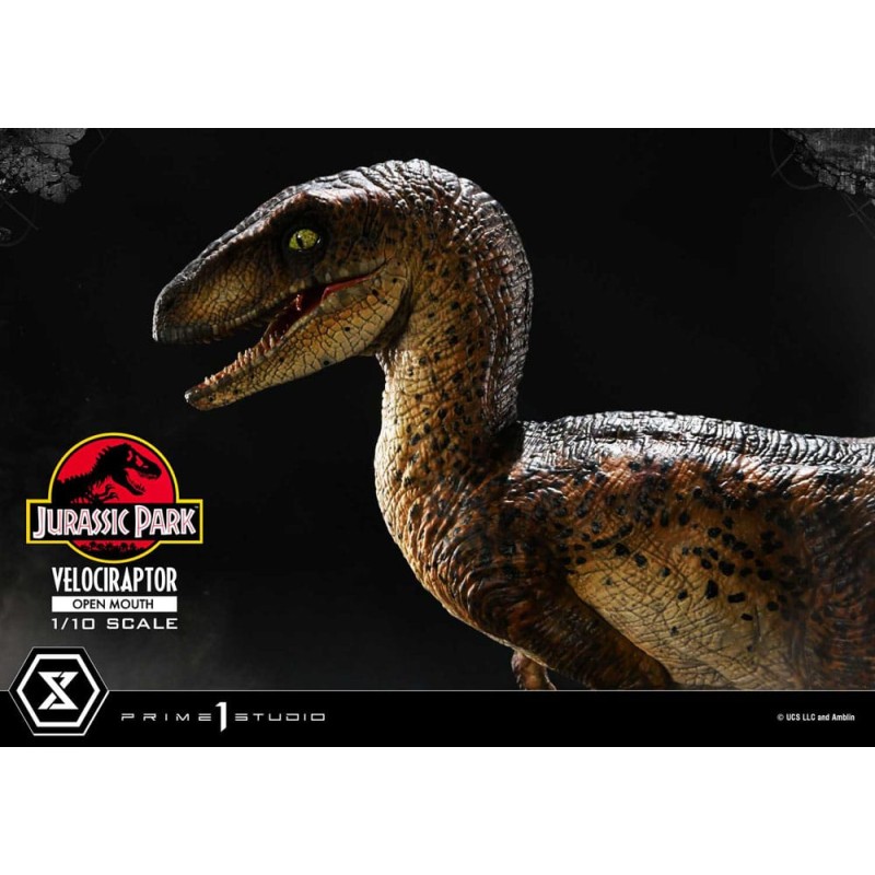 Jurassic Park statuette Prime Collectibles 1/10 Velociraptor Open Mouth 19 cm | 4580708049328