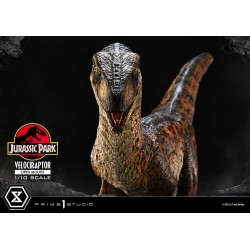 Jurassic Park statuette Prime Collectibles 1/10 Velociraptor Open Mouth 19 cm | 4580708049328