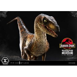 Jurassic Park statuette Prime Collectibles 1/10 Velociraptor Open Mouth 19 cm | 4580708049328