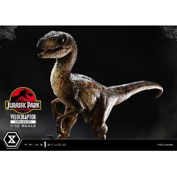 Jurassic Park statuette Prime Collectibles 1/10 Velociraptor Open Mouth 19 cm | 4580708049328