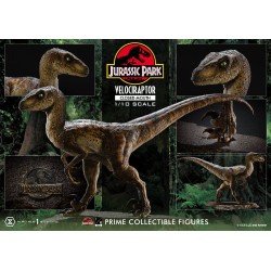 Jurassic Park statuette Prime Collectibles 1/10 Velociraptor Closed Mouth 19 cm | 4582647120038