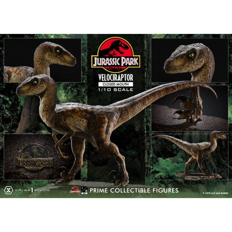 Jurassic Park statuette Prime Collectibles 1/10 Velociraptor Closed Mouth 19 cm | 4582647120038