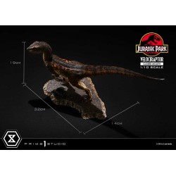 Jurassic Park statuette Prime Collectibles 1/10 Velociraptor Closed Mouth 19 cm | 4582647120038